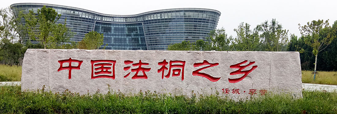 中国法桐之乡