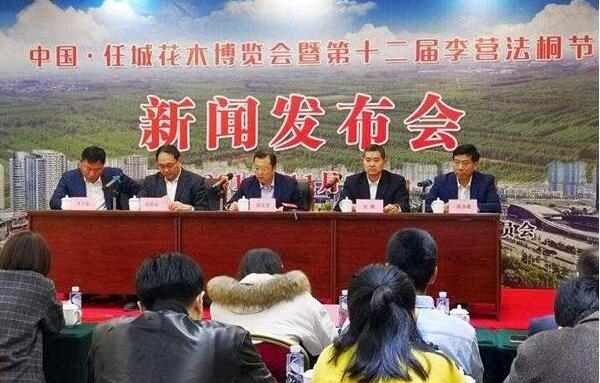 山东法桐 山东法桐